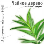 Масло Чайное дерево 10мл МедикоМед - Интернет-магазин товаров для здоровья и красоты "Сорбис", Екатеринбург